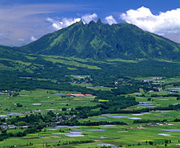 ���q�x�Ɠ숢�h�̒�����