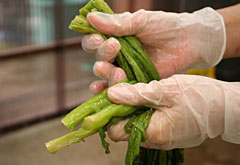 �܋l�ߍ�ƕ��i