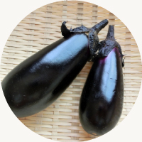 阿蘇なす「ひごむらさき」